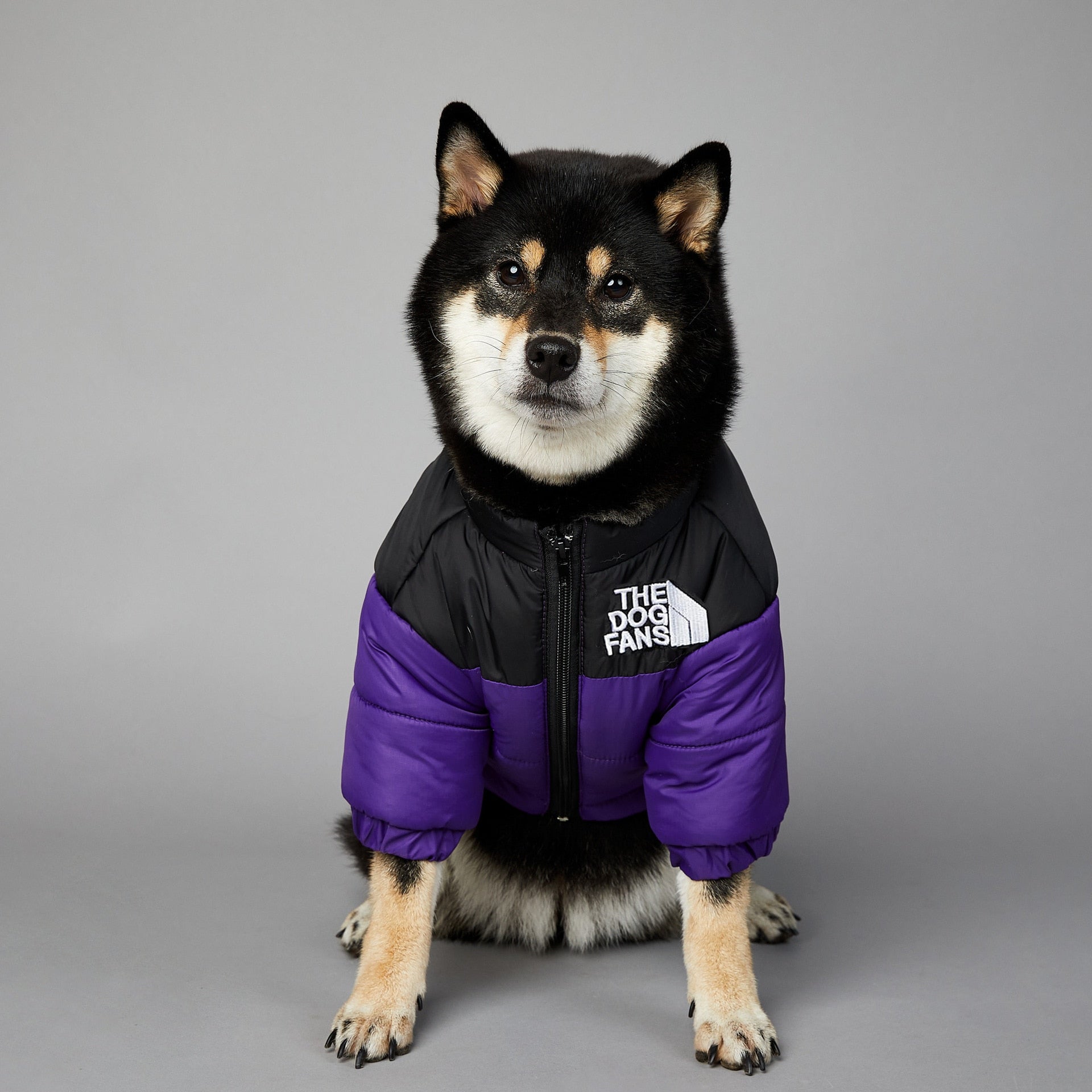 Dog Face Puffer Coat by My Store
