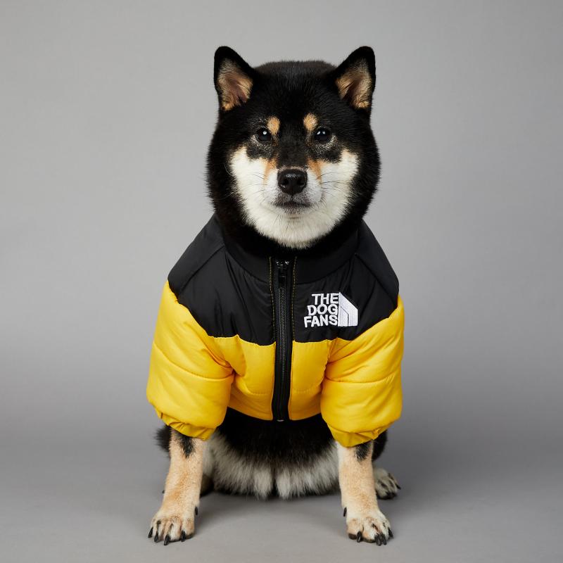 Dog Face Puffer Coat by My Store