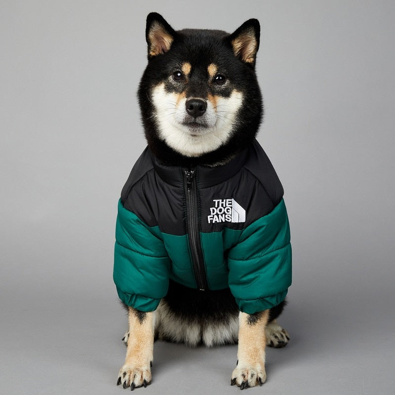Dog Face Puffer Coat by My Store