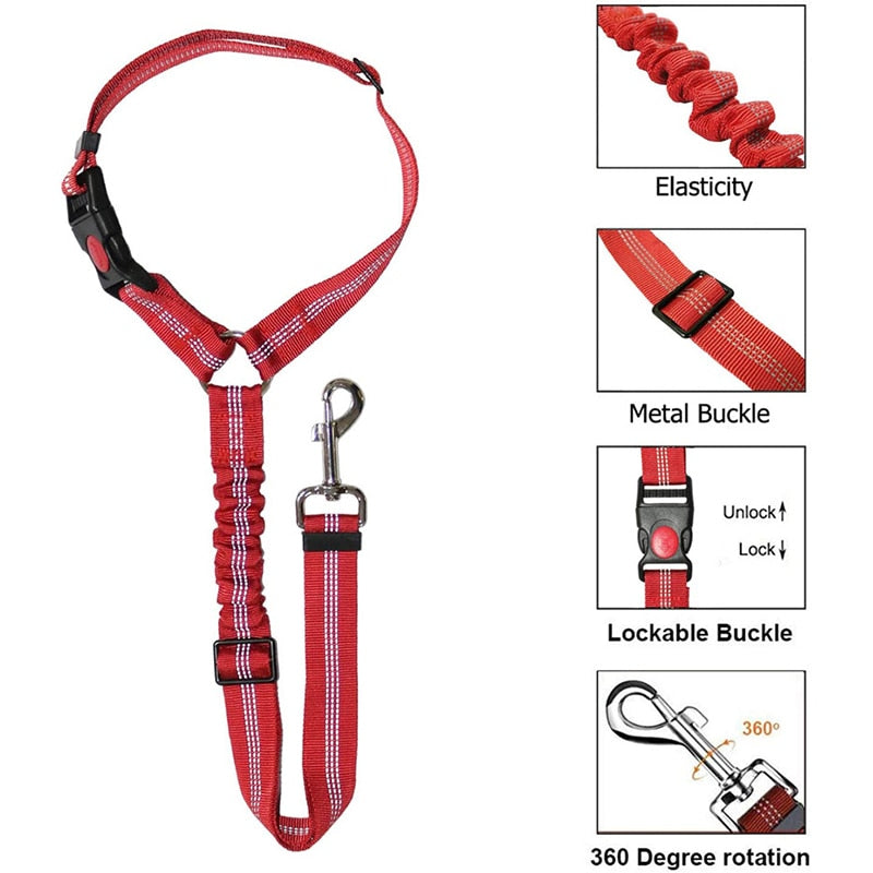 Premium Car Dog Leash With Harness by My Store