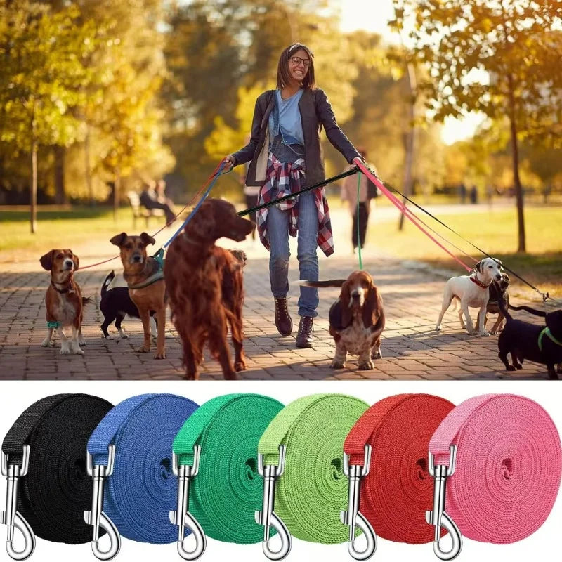 Nylon dog leash