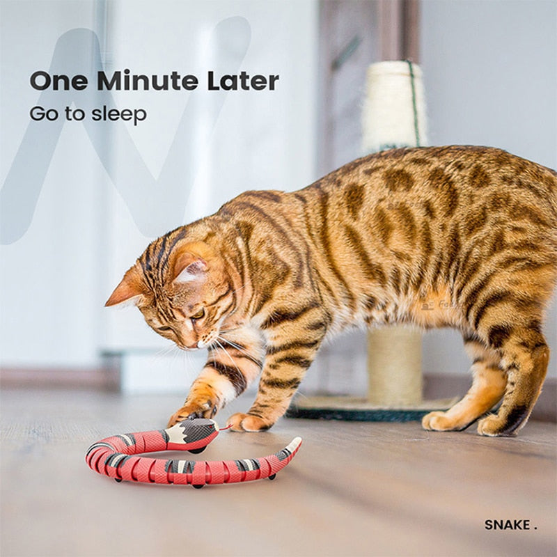 Smart Sensing Snake interactive Rechargeable Cat Toy by My Store