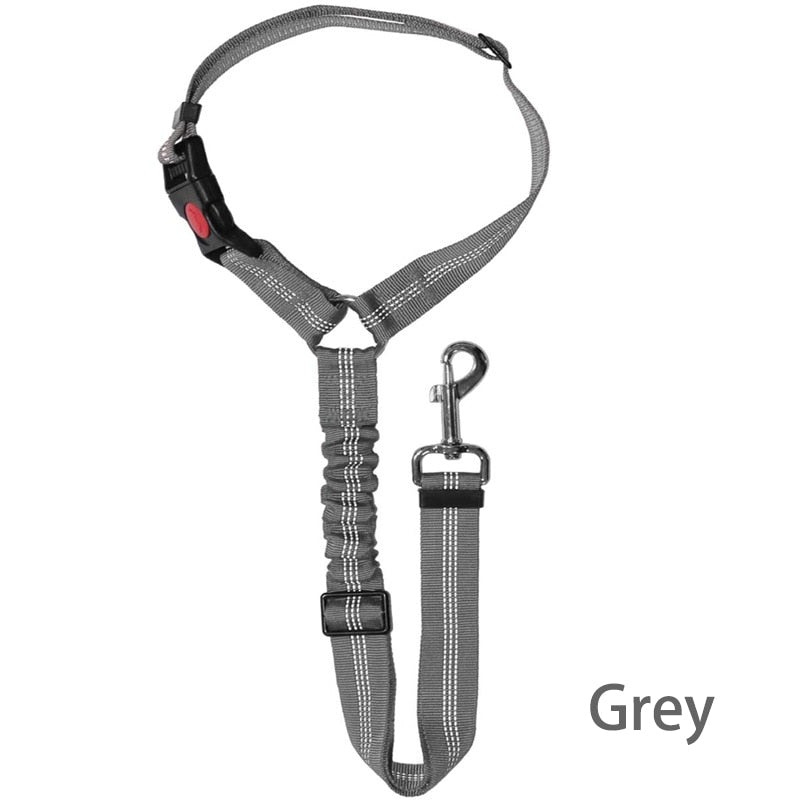 Premium Car Dog Leash With Harness by My Store
