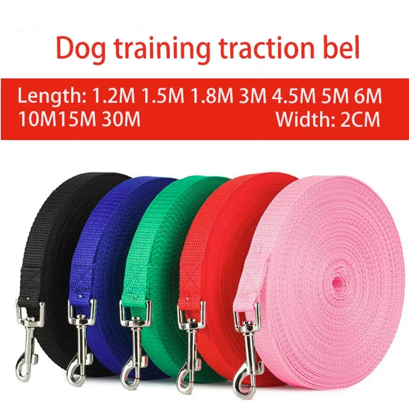 Nylon dog leash