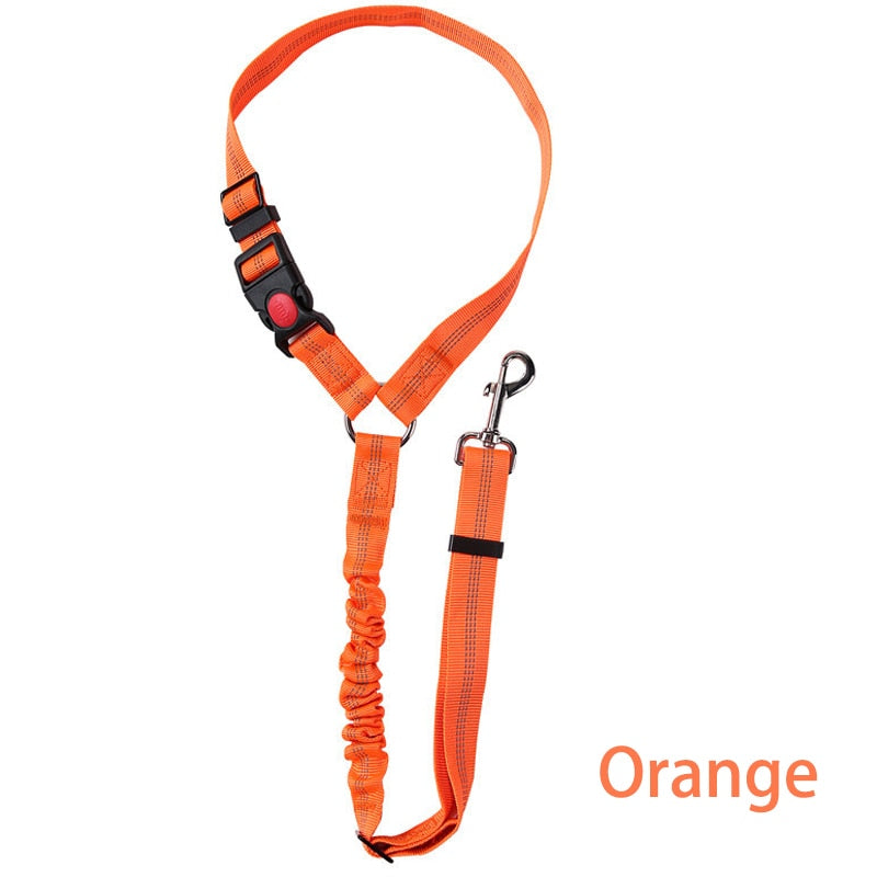 Premium Car Dog Leash With Harness by My Store