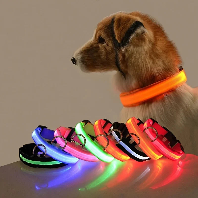 LED dog leash and collar