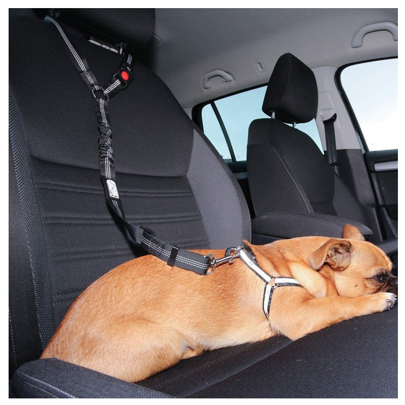 Premium Car Dog Leash With Harness by My Store
