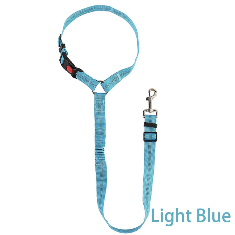 Premium Car Dog Leash With Harness by My Store