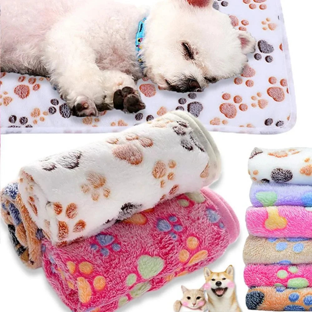 Cartoon pet blanket