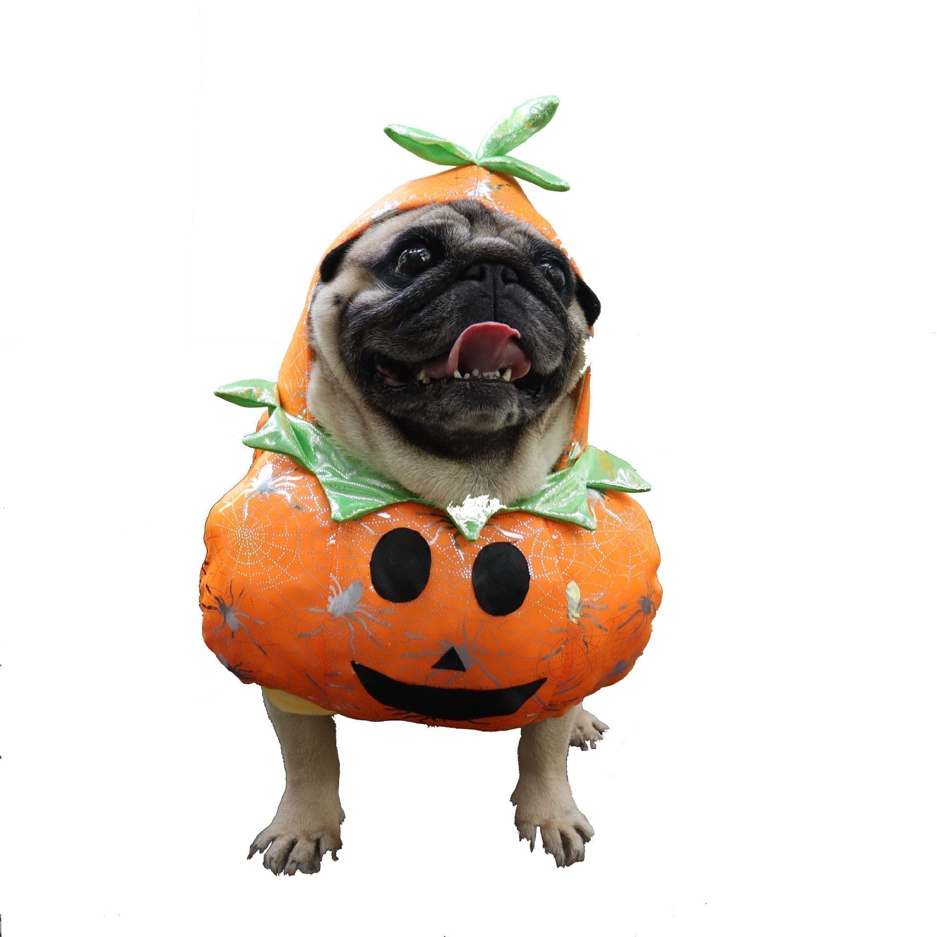 Dog Pumpkin Halloween Costume by My Store