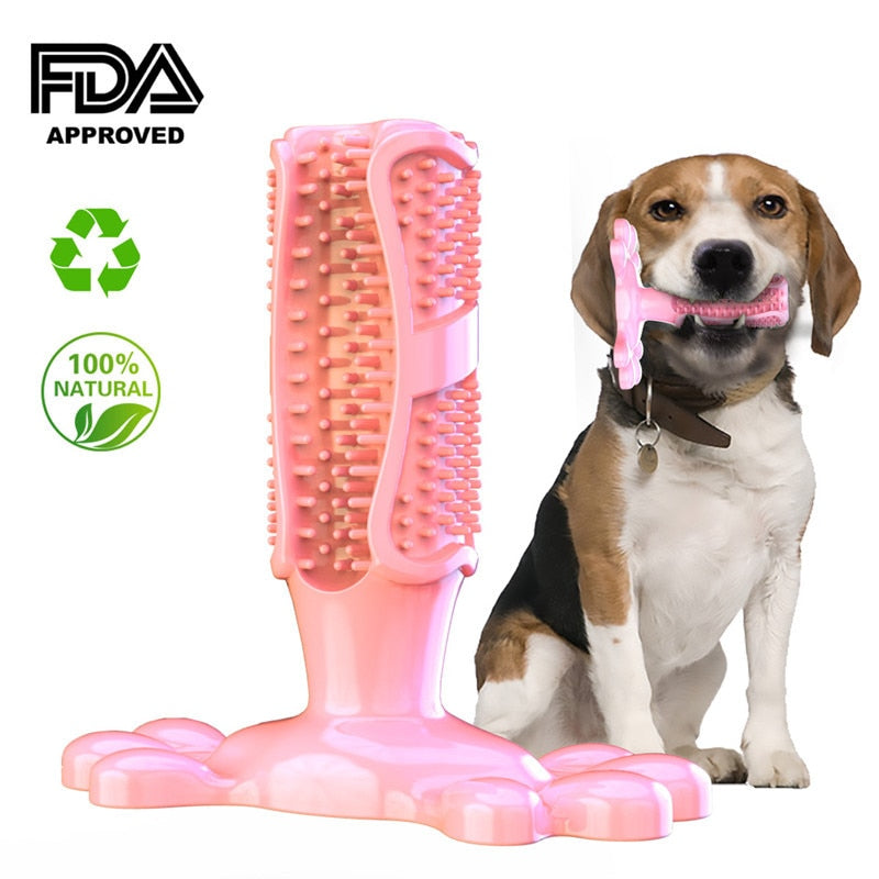Dog Care Toothbrush by My Store