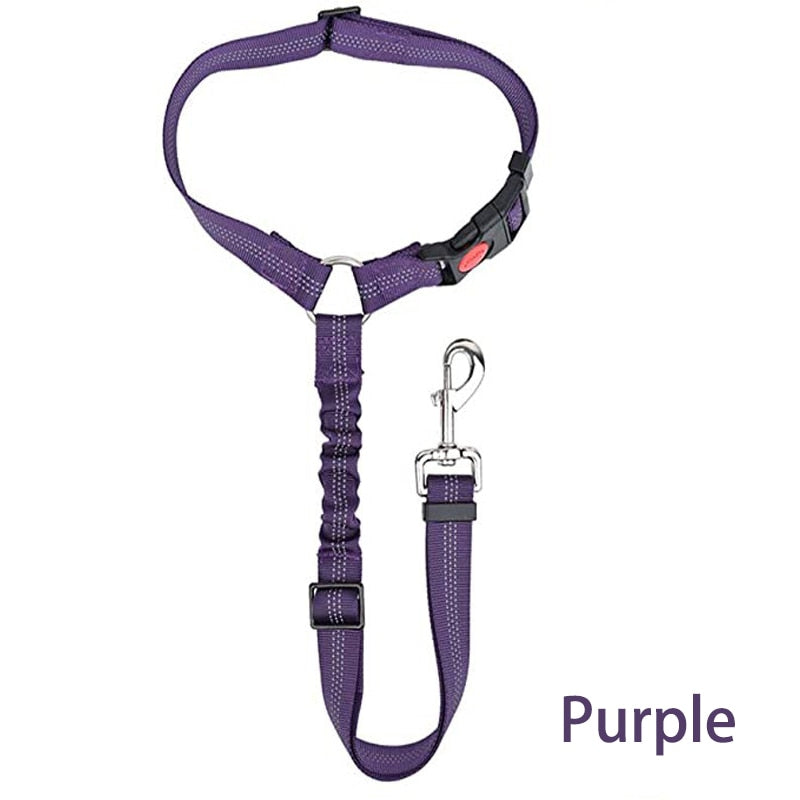Premium Car Dog Leash With Harness by My Store