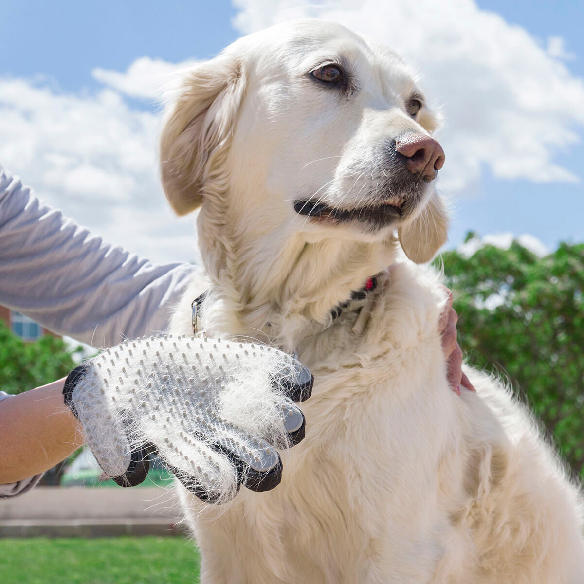Pet Brush & Massage Glove by Bigbuy