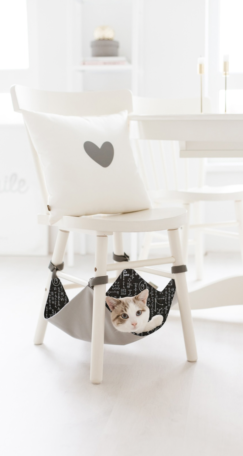 Cat accessories collection - Carriers, sling bags and travel gear for felines