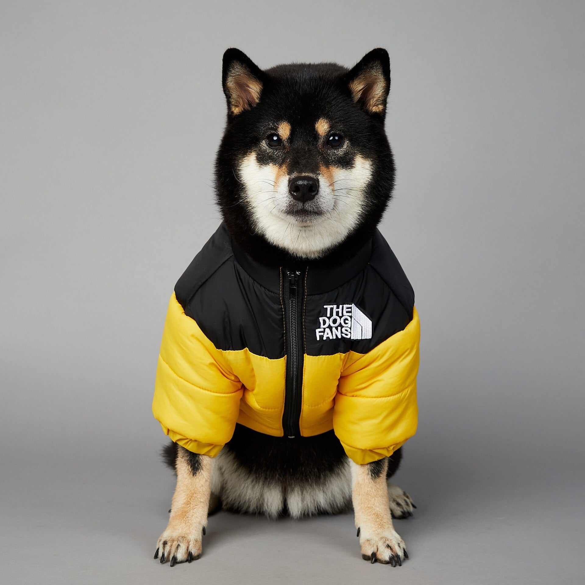 Dog Face Puffer Coat by My Store