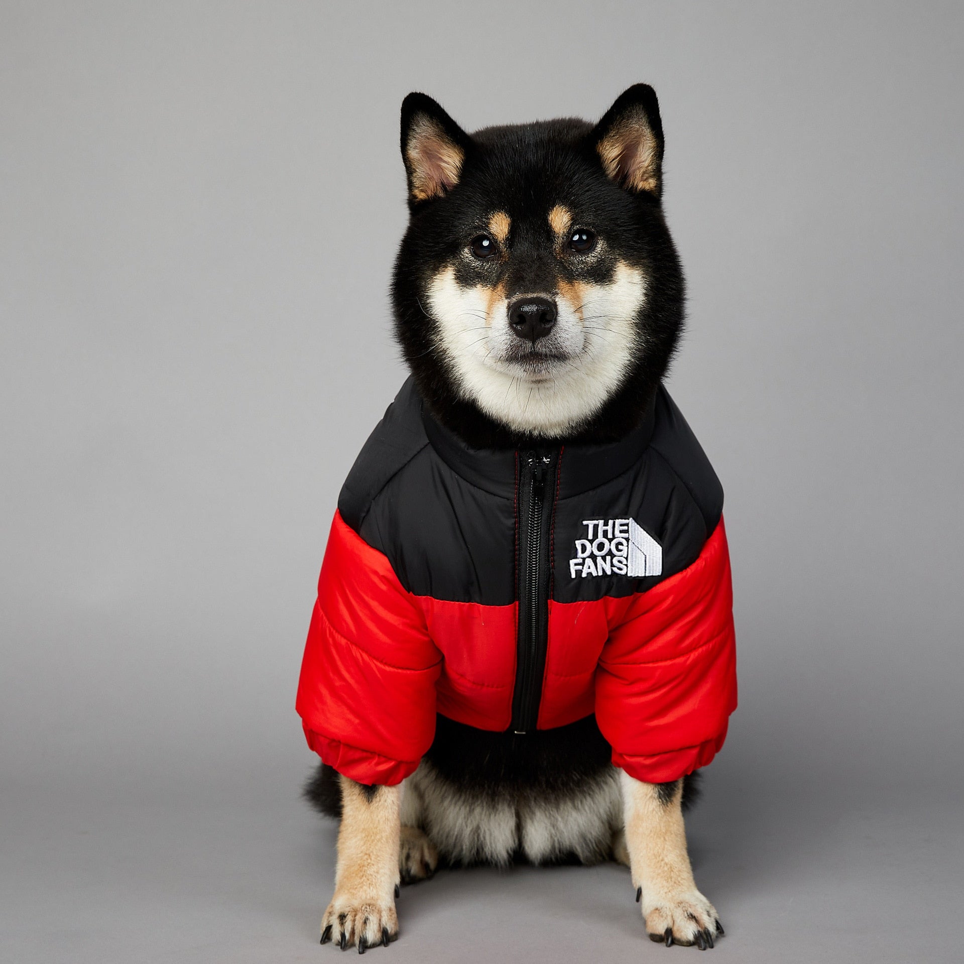 Dog Face Puffer Coat by My Store