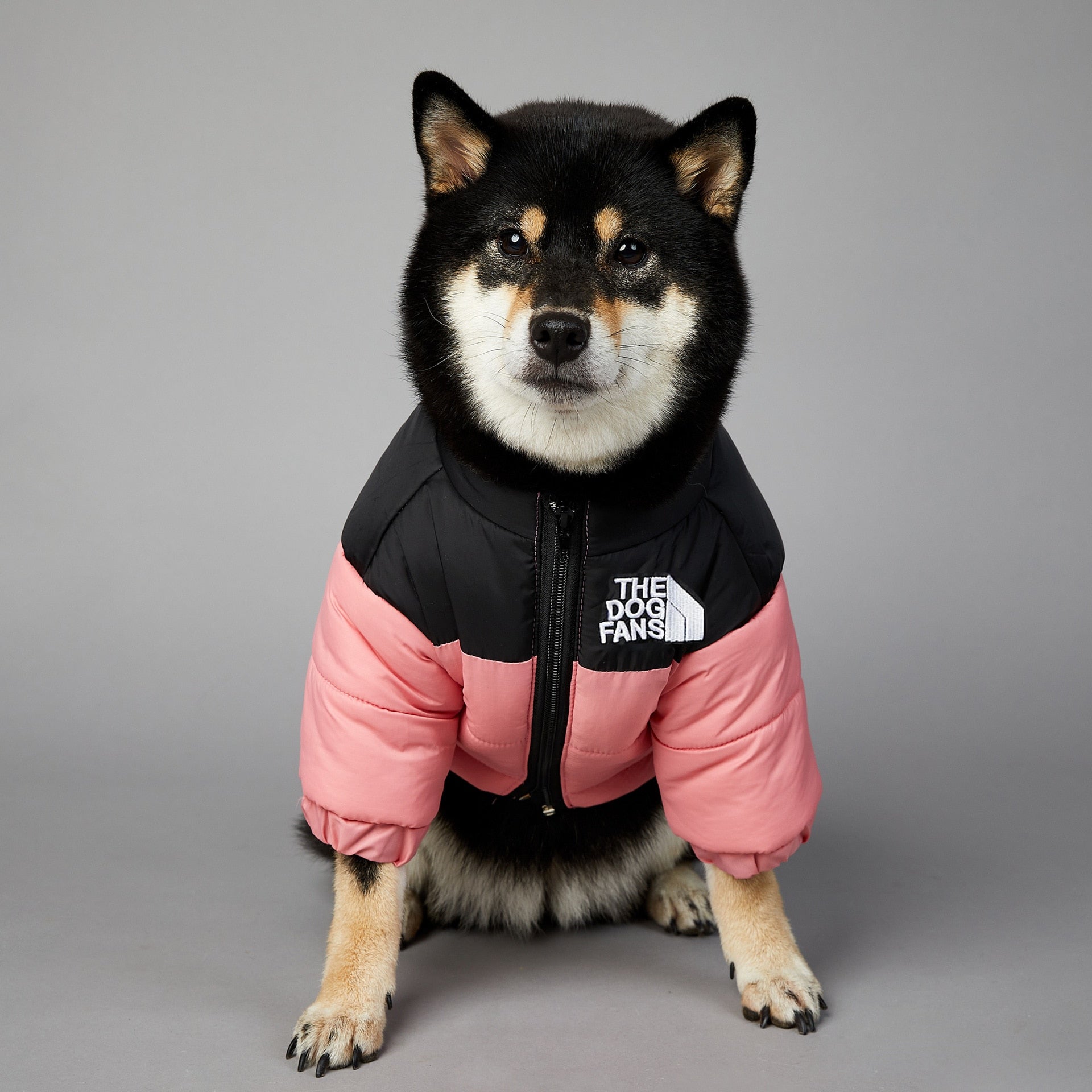 Dog Face Puffer Coat by My Store