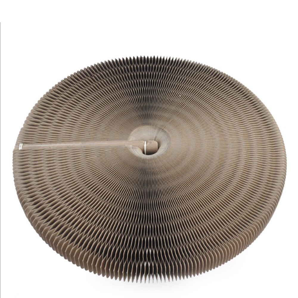 Magic Organ Cat Scratching Board by My Store