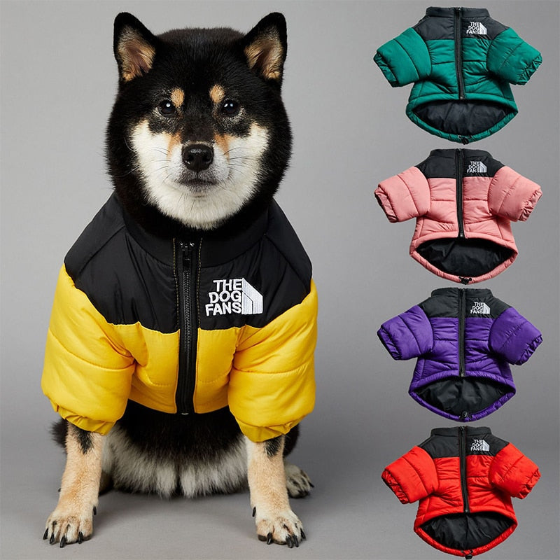 Dog Face Puffer Coat by My Store