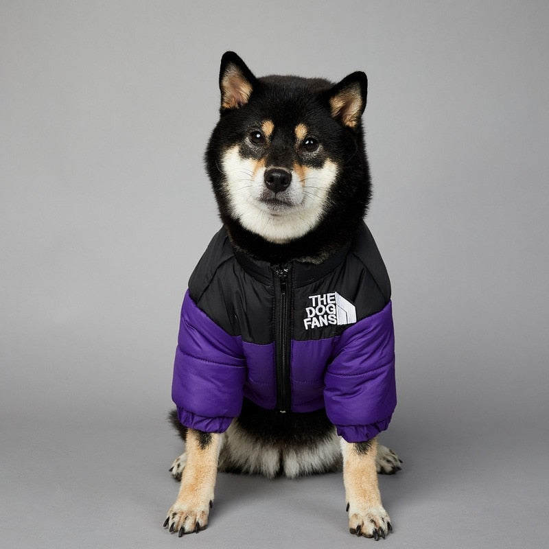 Dog Face Puffer Coat by My Store