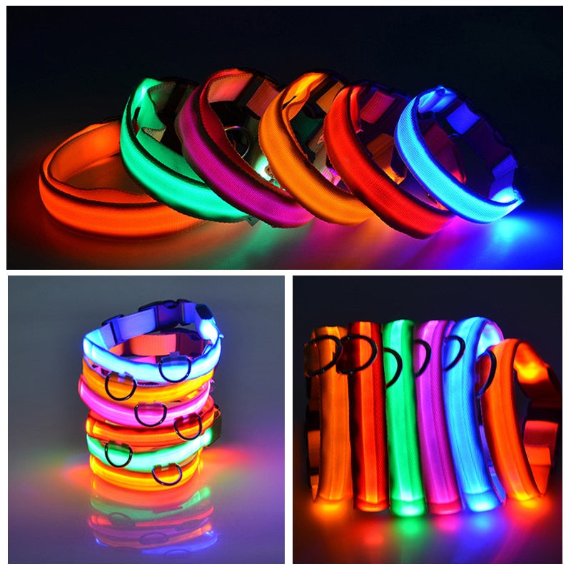 LED Flashing Dog Collar by My Store