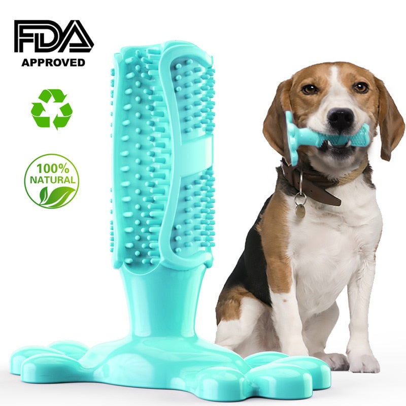 Dog Care Toothbrush by My Store