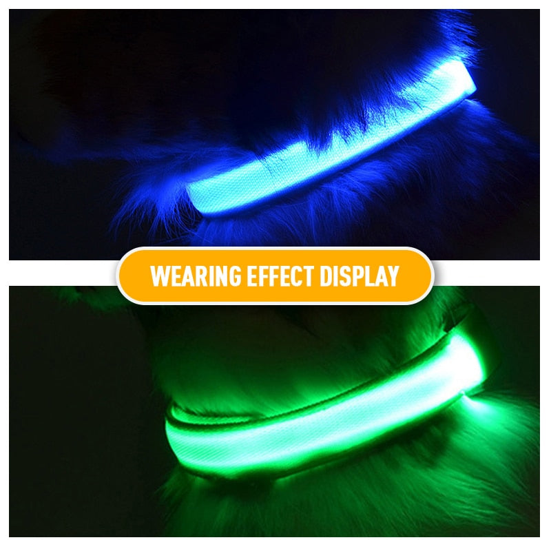 LED Flashing Dog Collar by My Store