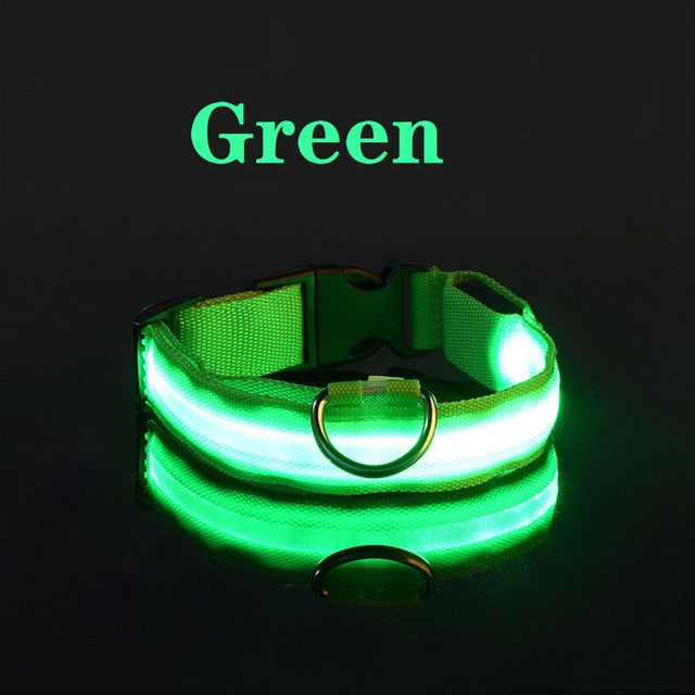 LED Flashing Dog Collar by My Store