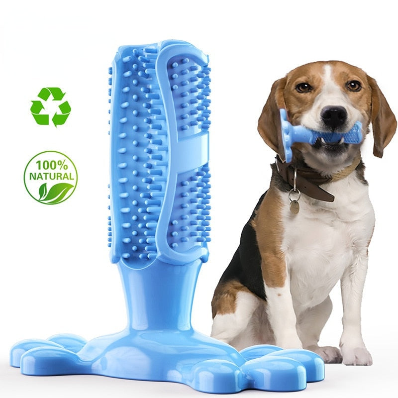 Dog Care Toothbrush by My Store