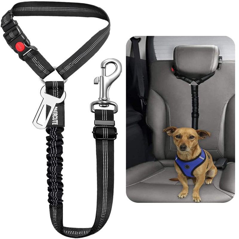 Premium Car Dog Leash With Harness by My Store