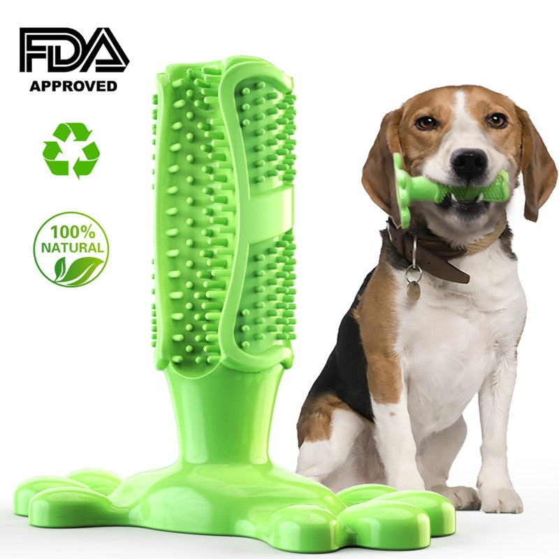 Dog Care Toothbrush by My Store