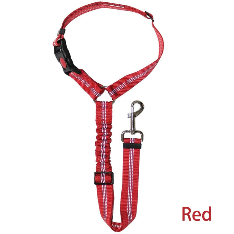 Premium Car Dog Leash With Harness by My Store