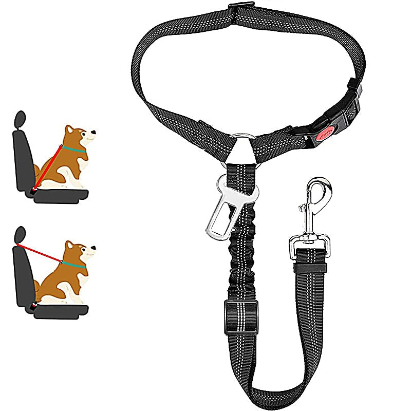Premium Car Dog Leash With Harness by My Store