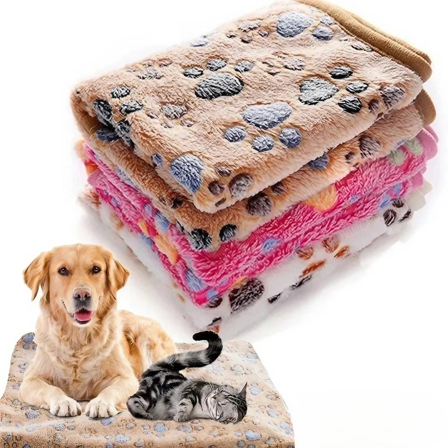 Cartoon pet blanket