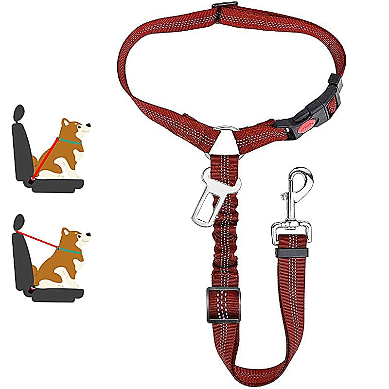 Premium Car Dog Leash With Harness by My Store