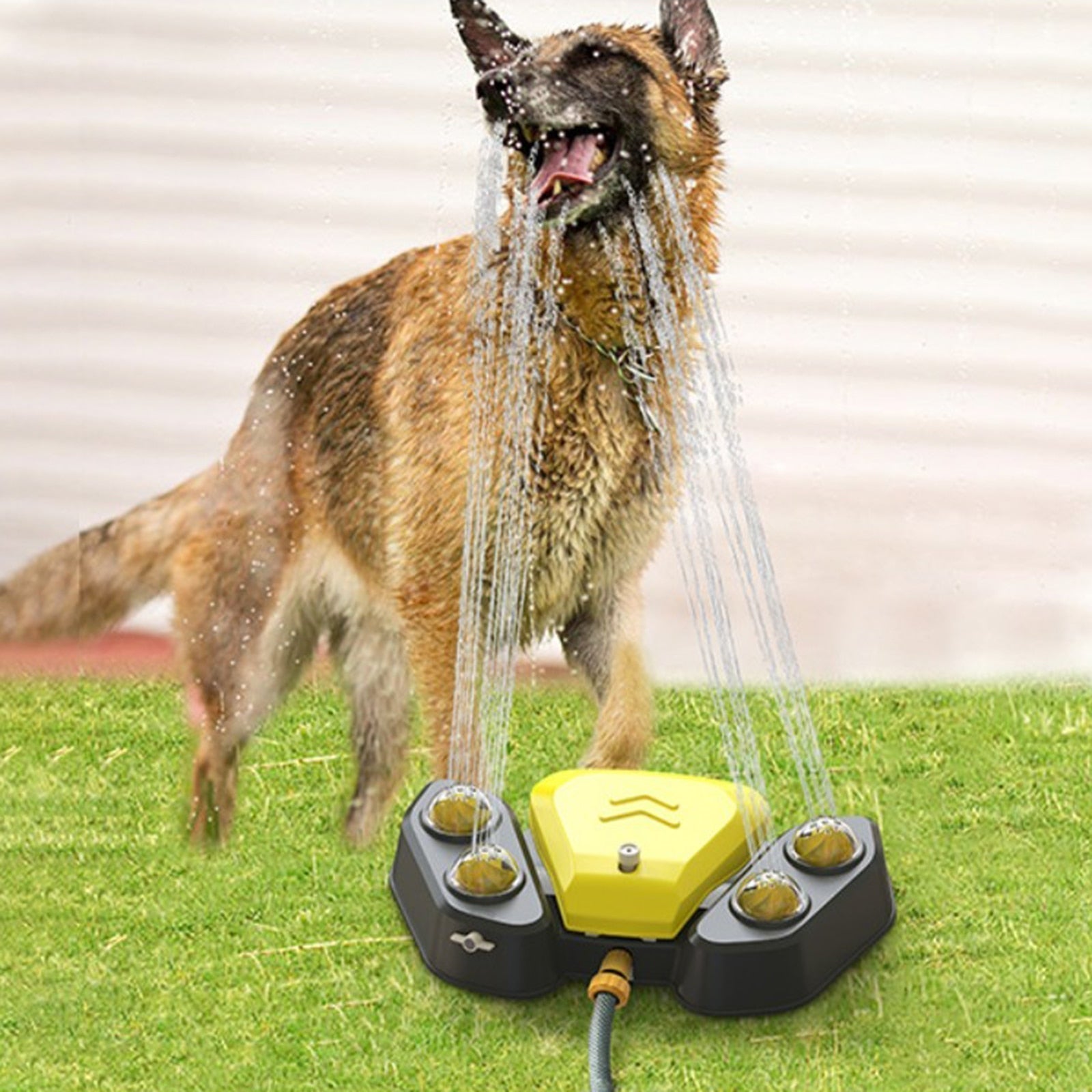Automatic Dog Water Fountain by My Store