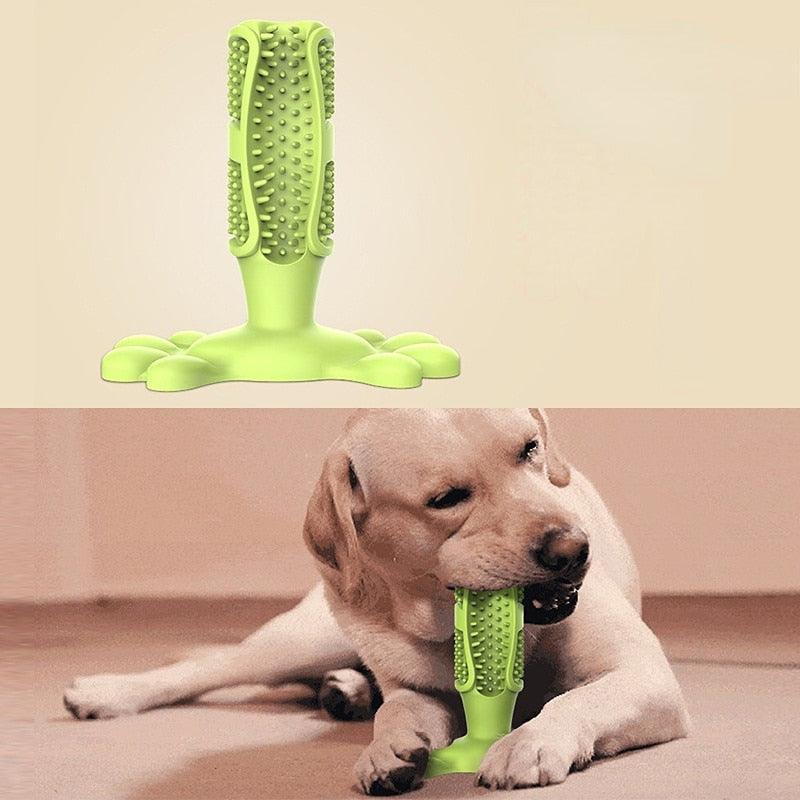 Dog Care Toothbrush by My Store