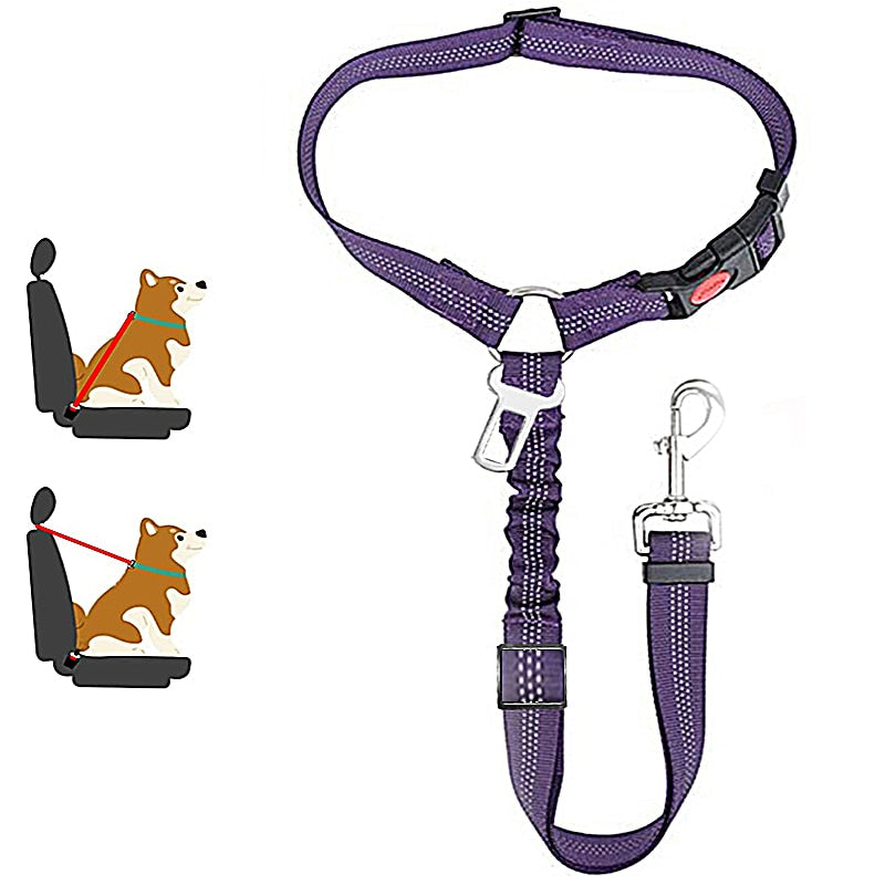 Premium Car Dog Leash With Harness by My Store