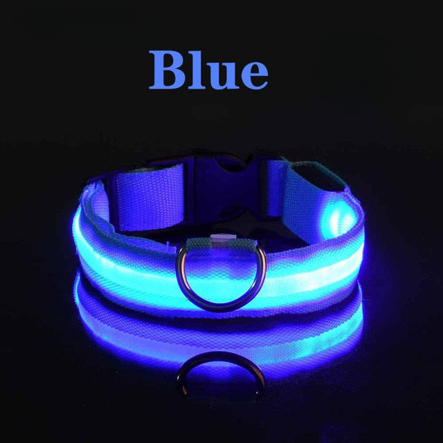 LED Flashing Dog Collar by My Store