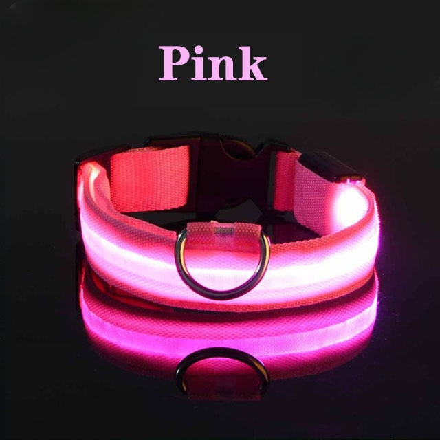 LED Flashing Dog Collar by My Store