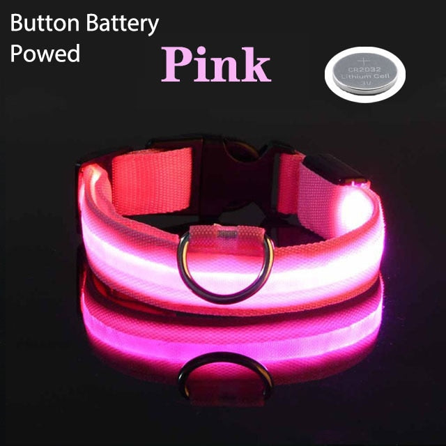 LED Flashing Dog Collar by My Store