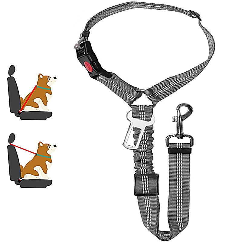 Premium Car Dog Leash With Harness by My Store