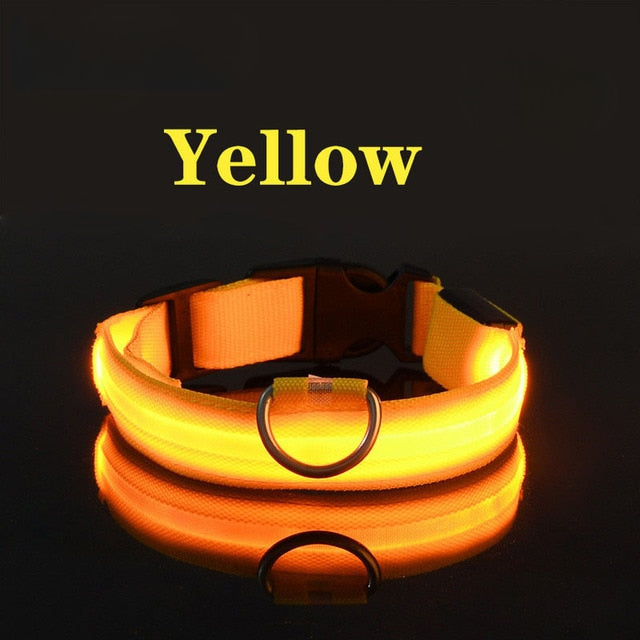 LED Flashing Dog Collar by My Store