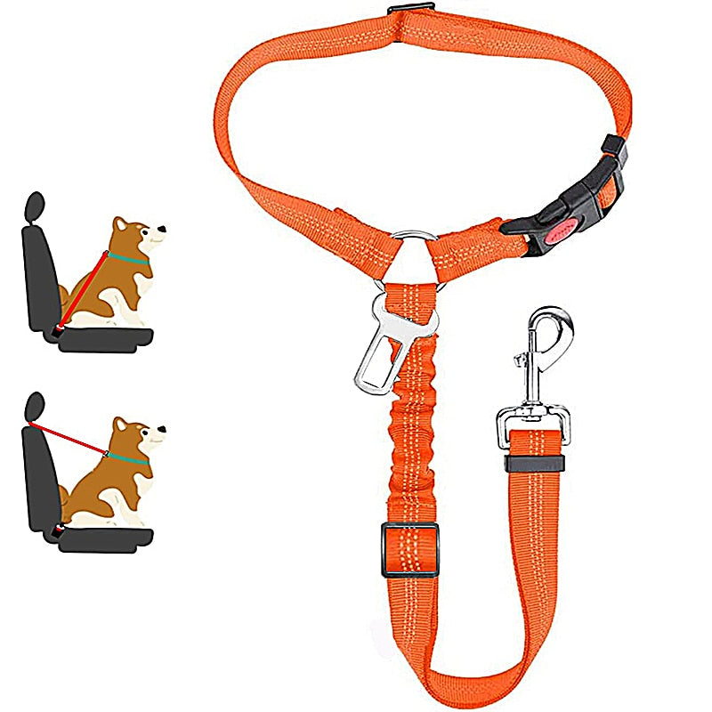Premium Car Dog Leash With Harness by My Store