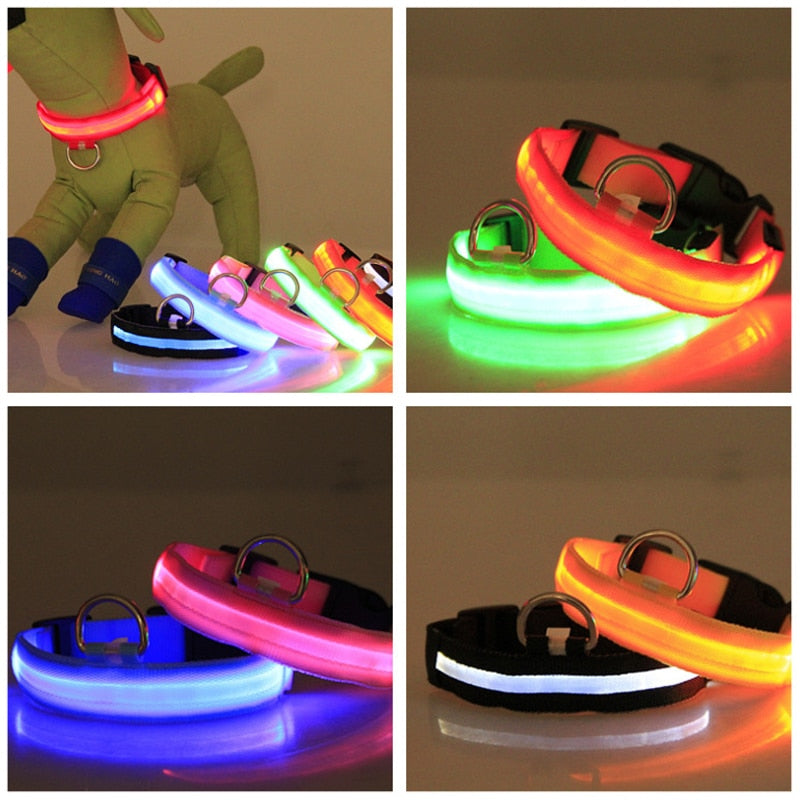 LED Flashing Dog Collar by My Store