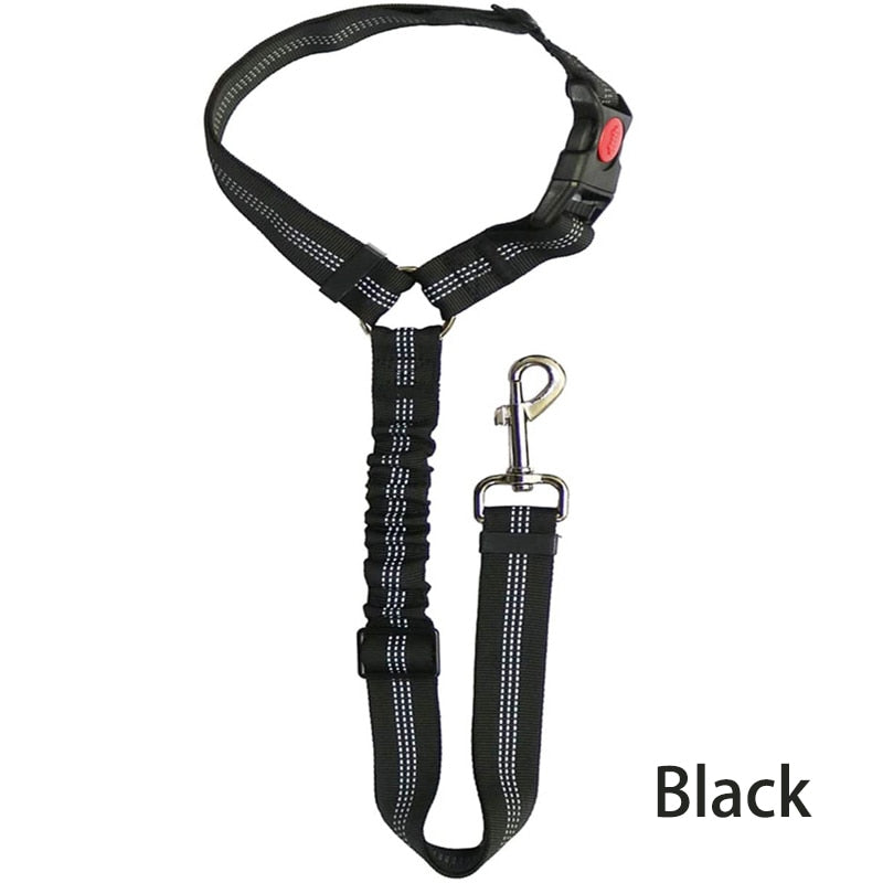 Premium Car Dog Leash With Harness by My Store