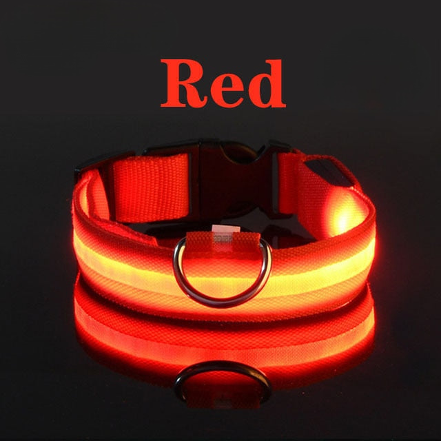LED Flashing Dog Collar by My Store