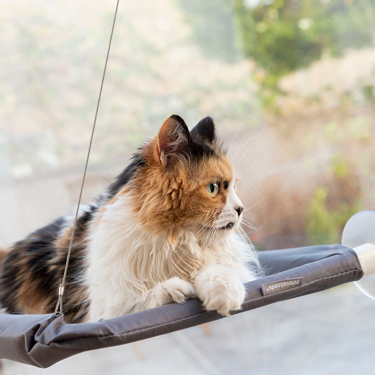 Hanging Cat Hammock by Bigbuy